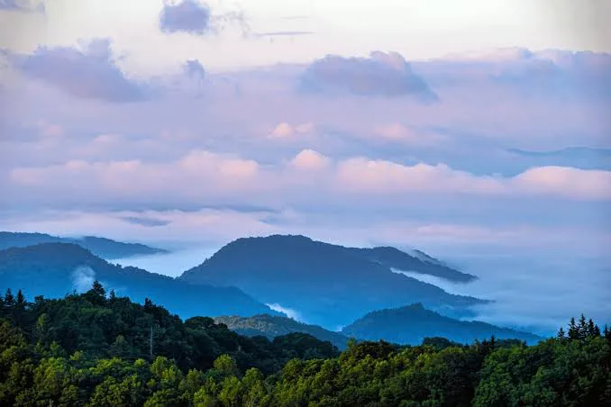 The state of Tennessee